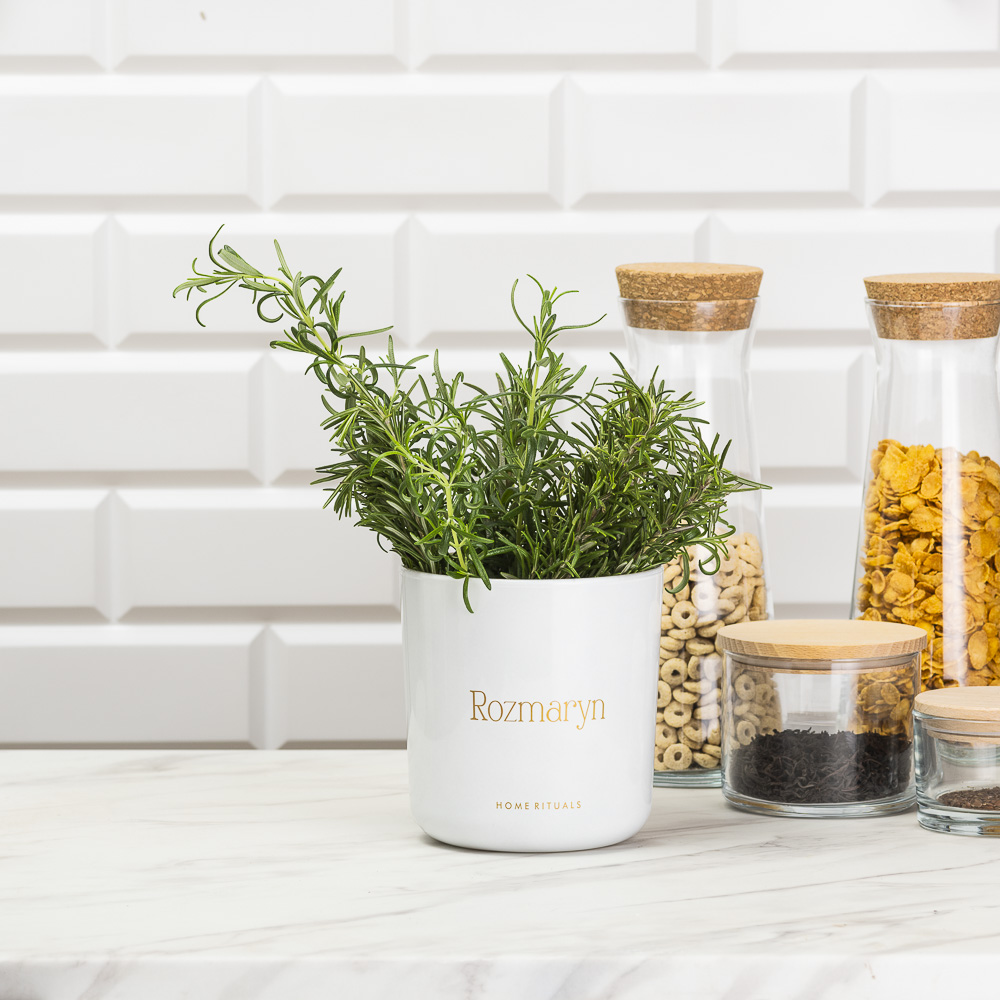 Sklep_aranz_70230-153.jpg 10fbab01bbfb6ddfed0e37562631f5a0