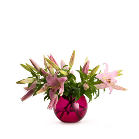 904330709964f5f23d0169297e11aaad