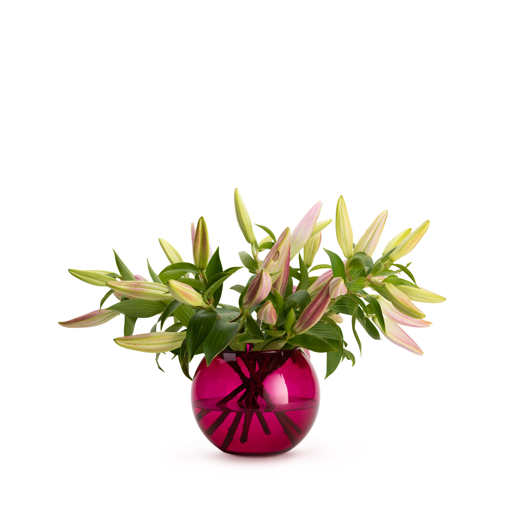 Wazon-kula-amarant-z-nierozwinietymi-liliami-1.jpg ef6d0097452902e9ea49c84a0d8f2737