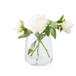 485dd47a50586d839f6d5a2b85a7b267