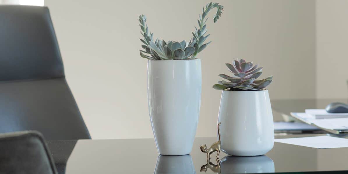 Wazon-szklany-z-polyskiem-jako-dekoracja-biurka.jpg 035a8ecb2416e372b891cf7a6fd843d3