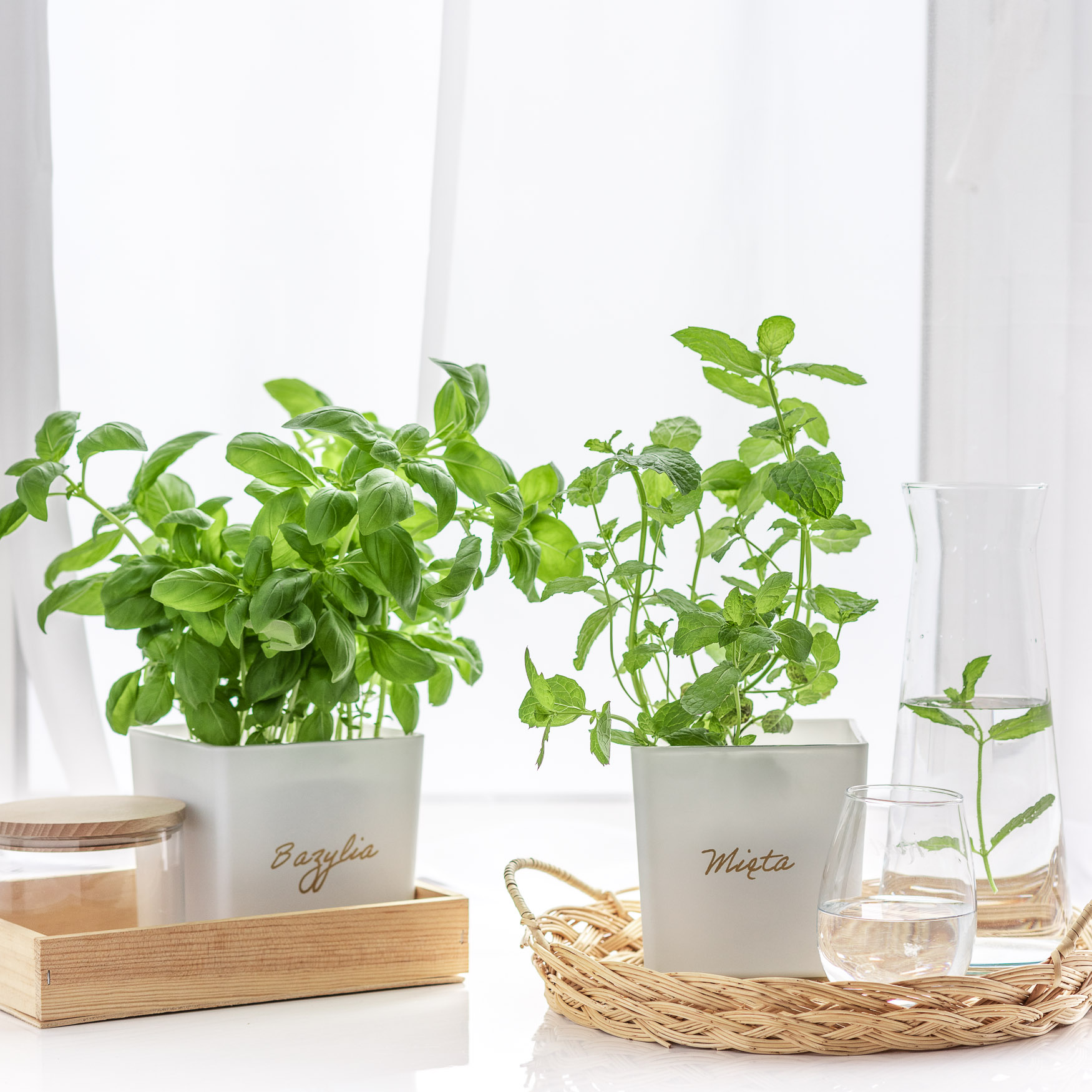 biale-oslonki-ze-zlotym-napisem-bazylia-mieta-1.jpg 5a5b0ea64eca49683998fa096dc1e123