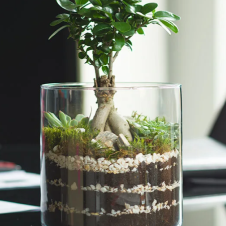 ec31005ddf74682aef31073e99103b05