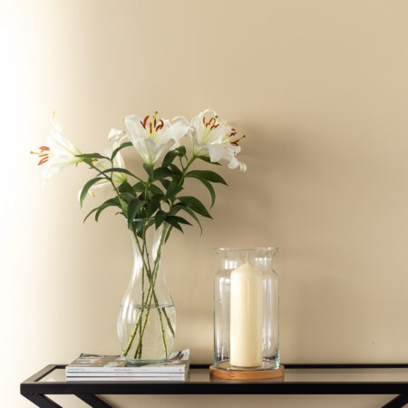 f5ef66a0c50aab59e9817f439b486590