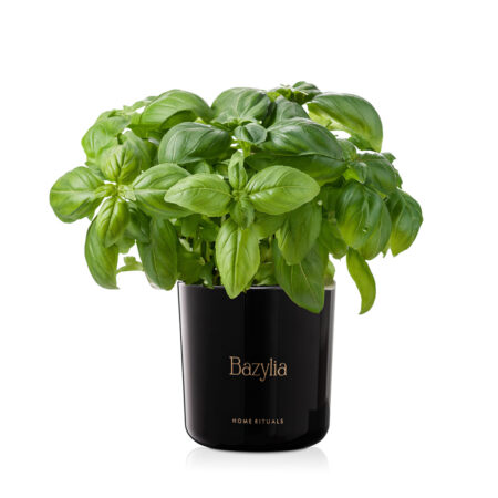 ed6abbf0e9fa93fcfa2d7d35ee030b98